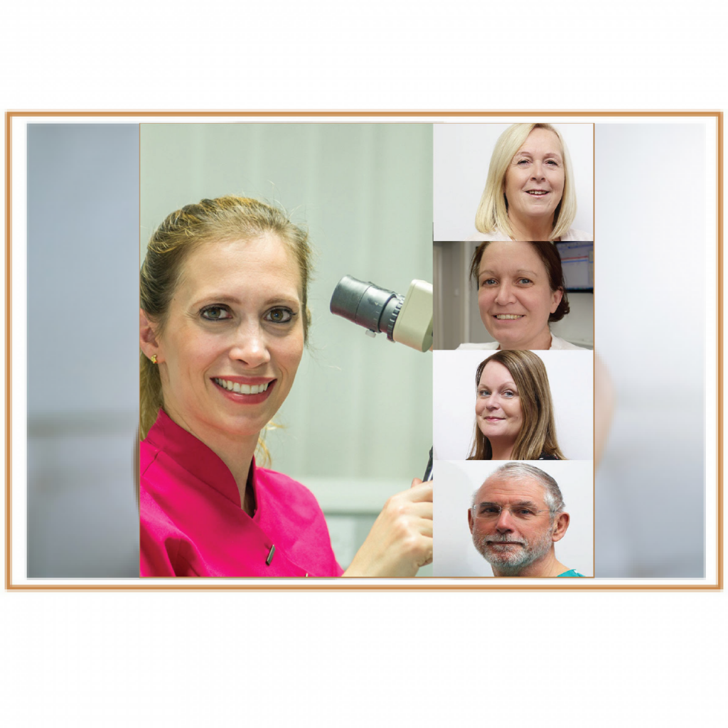 Meet Our Team Specialist Endodontic Centre